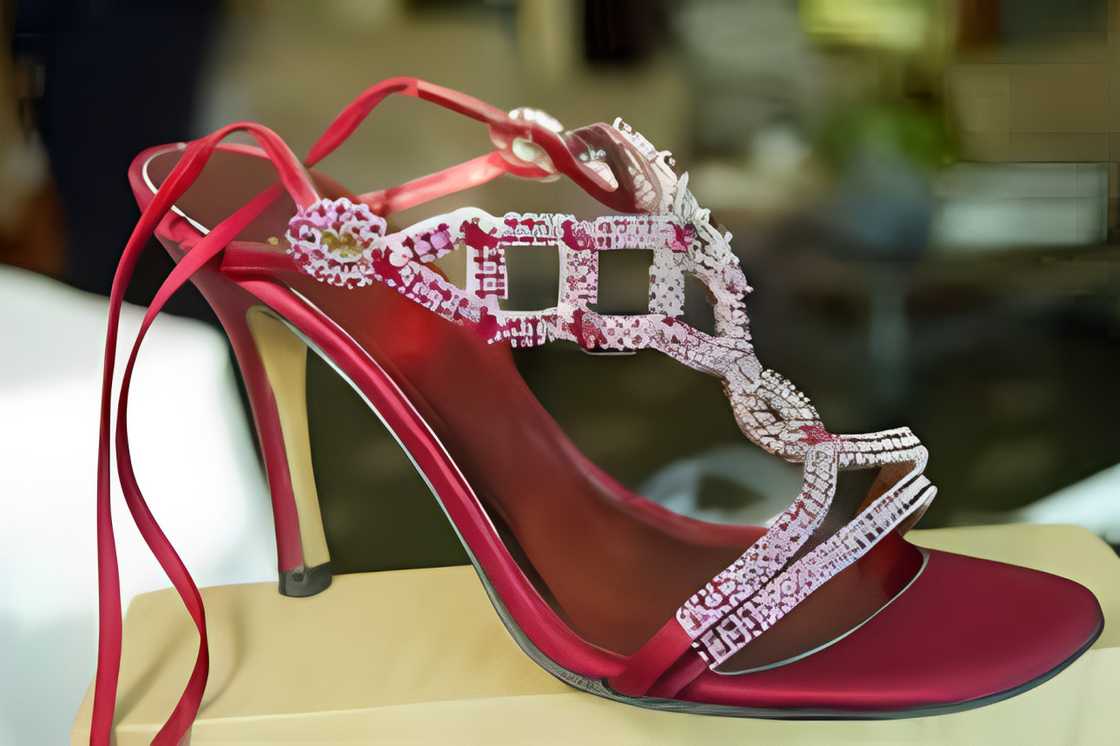 A Stuart Weitzman Wizard of Oz Ruby stiletto is on top of a box