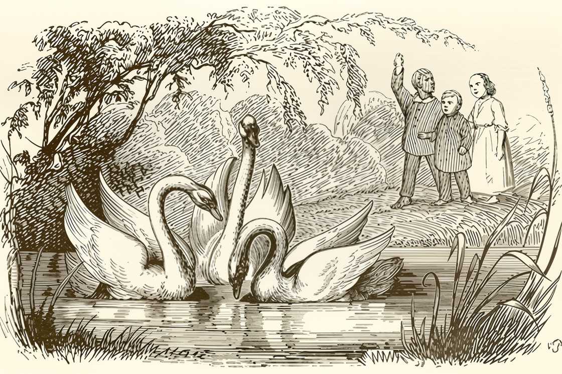 The image shows several ducks in a body of water The image shows several ducks in a body of water