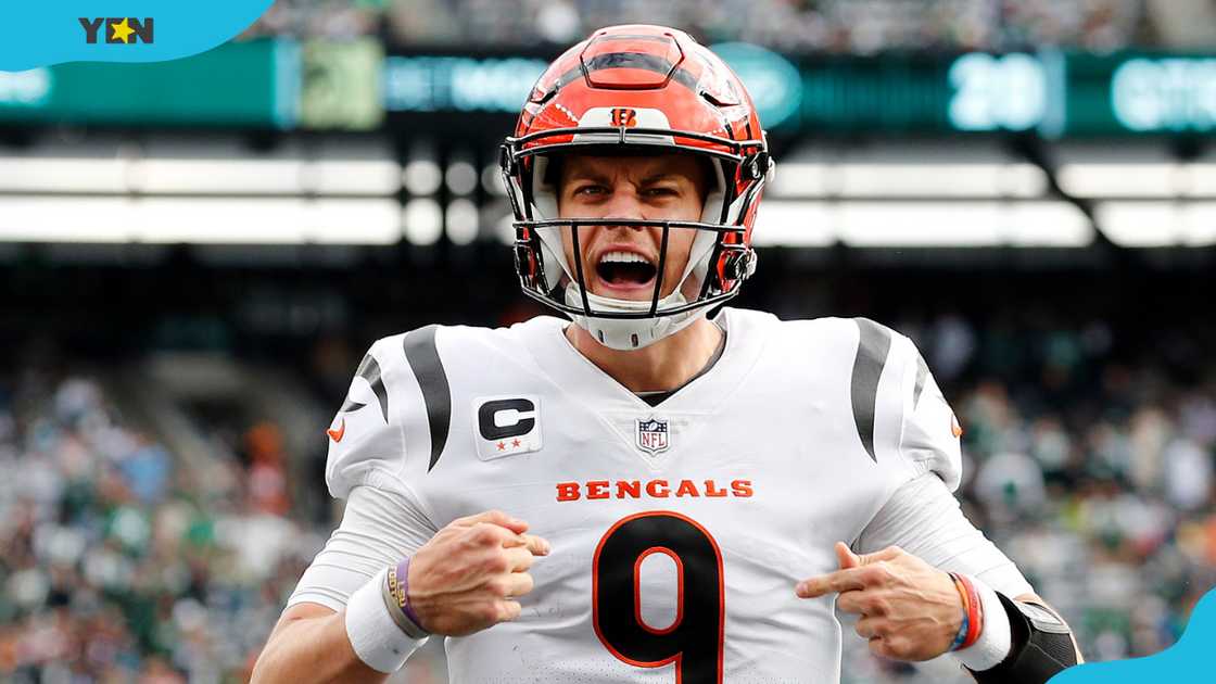 Joe Burrow #9 of the Cincinnati Bengals celebrates during an NFL game. Joe Burrow #9 of the Cincinnati Bengals celebrates during an NFL game.