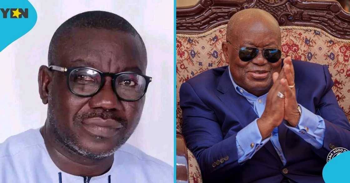 Isaac Adongo, BolgatangaCentral MP, Finance Committee, Parliament of Ghana, Nana Akufo-Addo, former appointees, COCOBOD, Ghana's cocoa sector