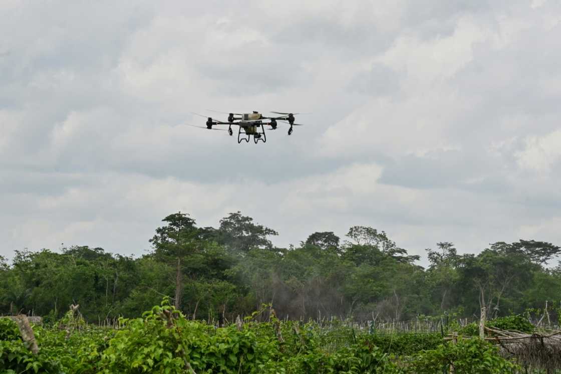 A drone sprays fungicides in passion fruit fields in Ivory Coast