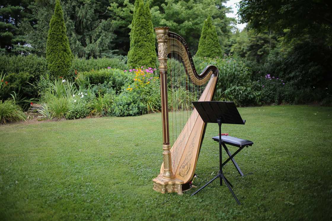 Easiest instruments to learn Easiest instruments to learn