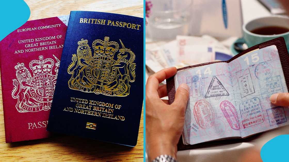 Top 10 Most Powerful Passports in 2026: UAE Leads With Visa-Free Access to 182 Destinations Top 10 Most Powerful Passports in 2026: UAE Leads With Visa-Free Access to 182 Destinations