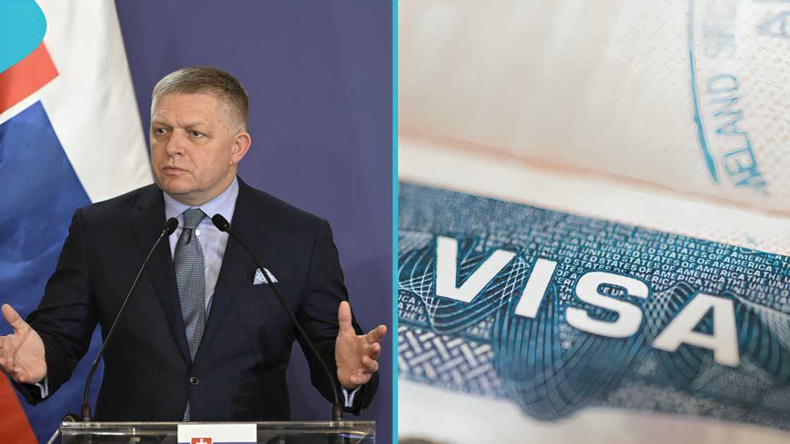 Slovak Republic visa-free entry, visa-free access by passport type, eligible nationalities Slovakia, ordinary travel passport Slovakia, biometric passport requirements, African and Asian countries visas, diplomatic passport visa exemption Slovak Republic visa-free entry, visa-free access by passport type, eligible nationalities Slovakia, ordinary travel passport Slovakia, biometric passport requirements, African and Asian countries visas, diplomatic passport visa exemption