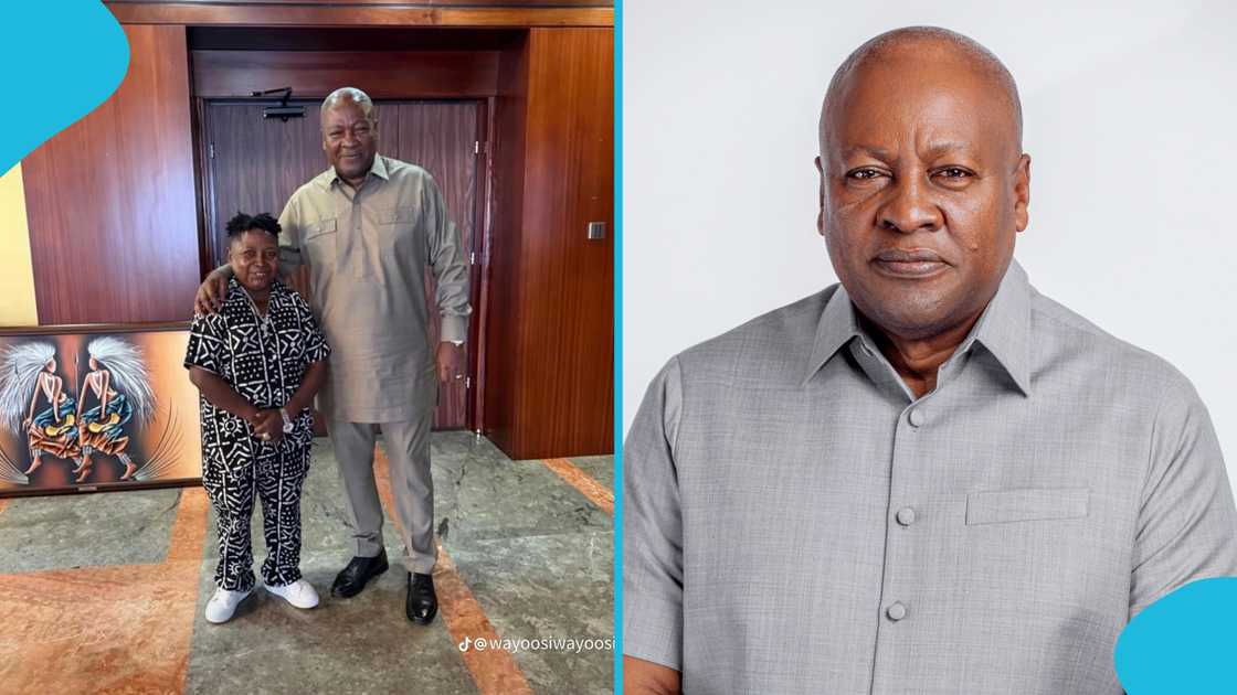 Mahama, Wayoosi, Wayoosi begs Mahama, John Dramani Mahama, President Mahama, President Mahama Wayoosi, Wayoosi Mahama third term