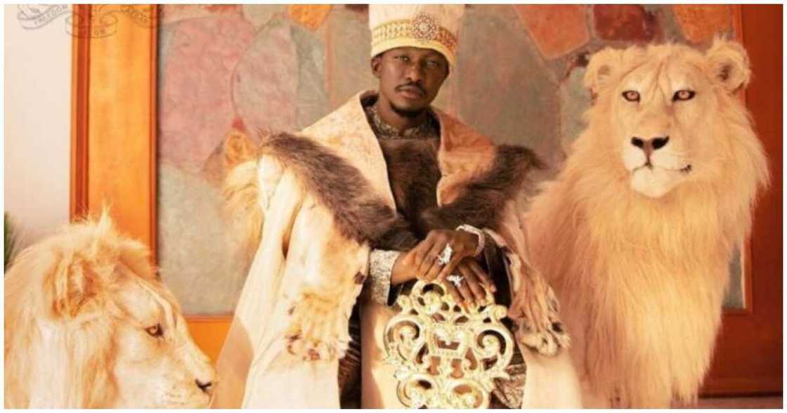 Freedom Jacob Caesar and his animals Freedom Jacob Caesar and his animals