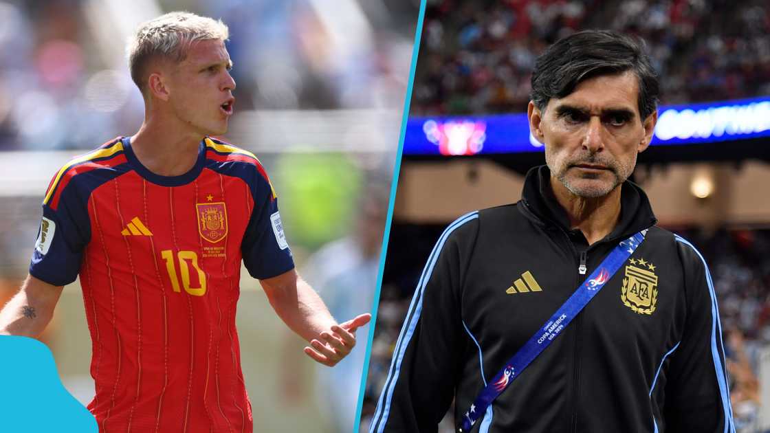 Argentina assistant coach, Roberto Ayala, Ayala punched, Dani Olmo, World Cup 2026 Final, 2026 FIFA World Cup, FIFA investigation, football controversies, Argentina vs Spain, post-match altercations, Lionel Scaloni. Argentina assistant coach, Roberto Ayala, Ayala punched, Dani Olmo, World Cup 2026 Final, 2026 FIFA World Cup, FIFA investigation, football controversies, Argentina vs Spain, post-match altercations, Lionel Scaloni.