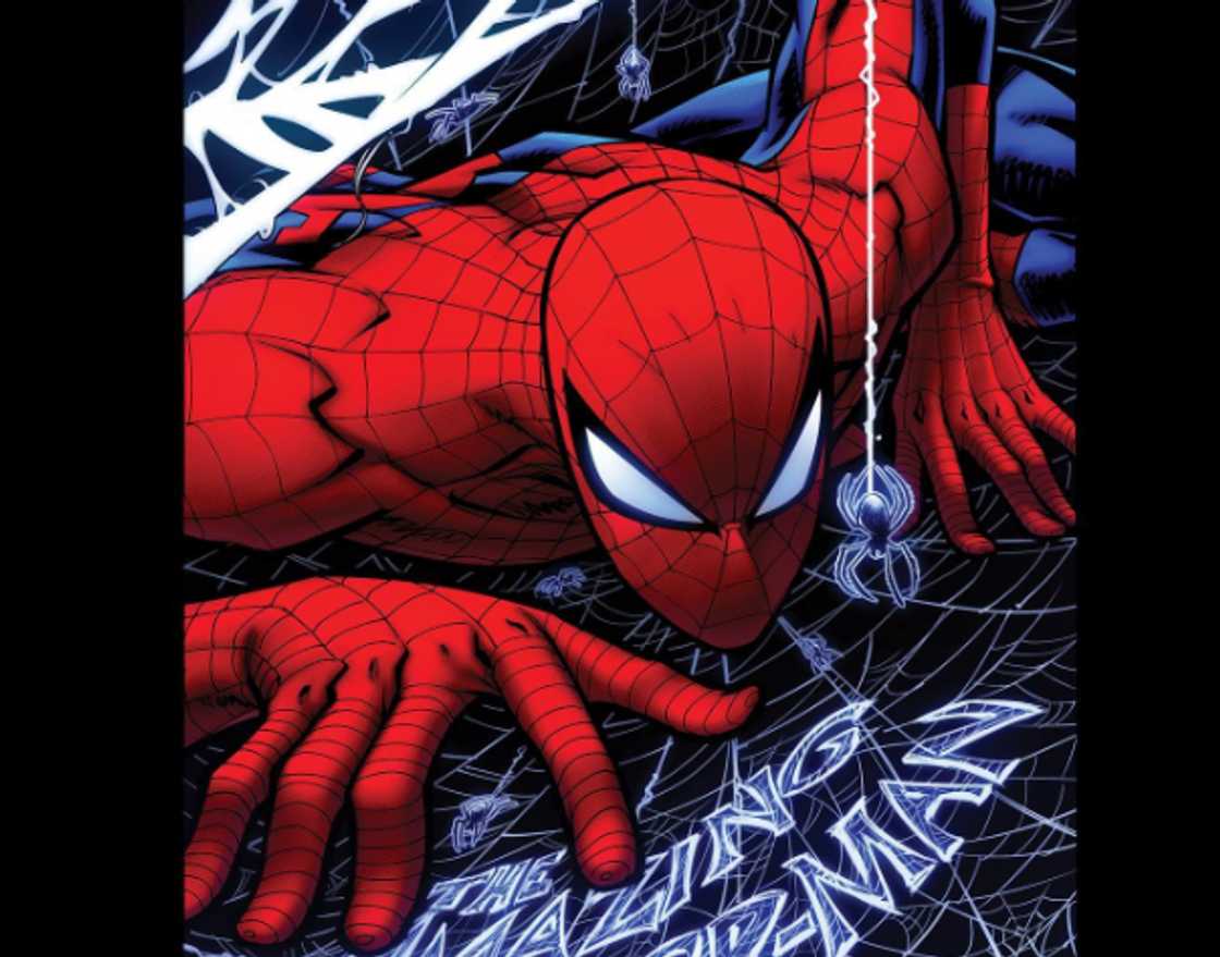 Spider-Man cartoon Spider-Man cartoon