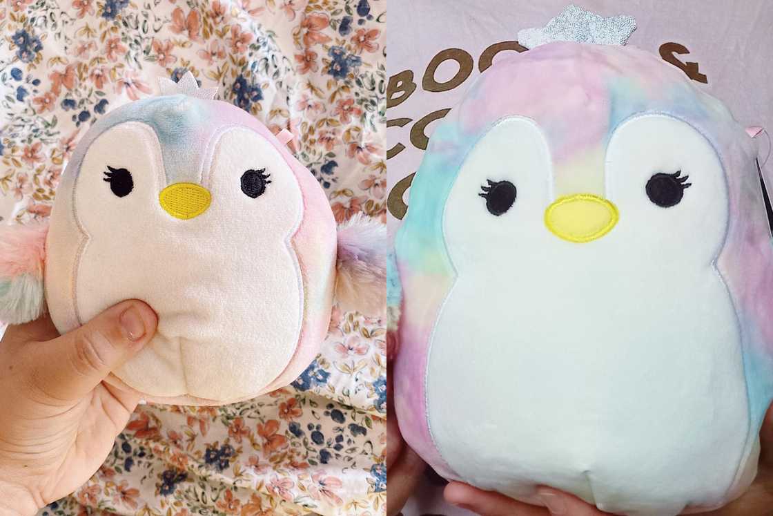 Louisa the Penguin is held on women's hands Louisa the Penguin is held on women's hands