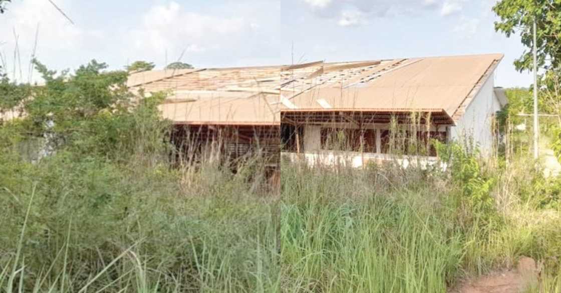 FixTheCountry: Photos of 1960 factory now covered in bush stirs reactions FixTheCountry: Photos of 1960 factory now covered in bush stirs reactions