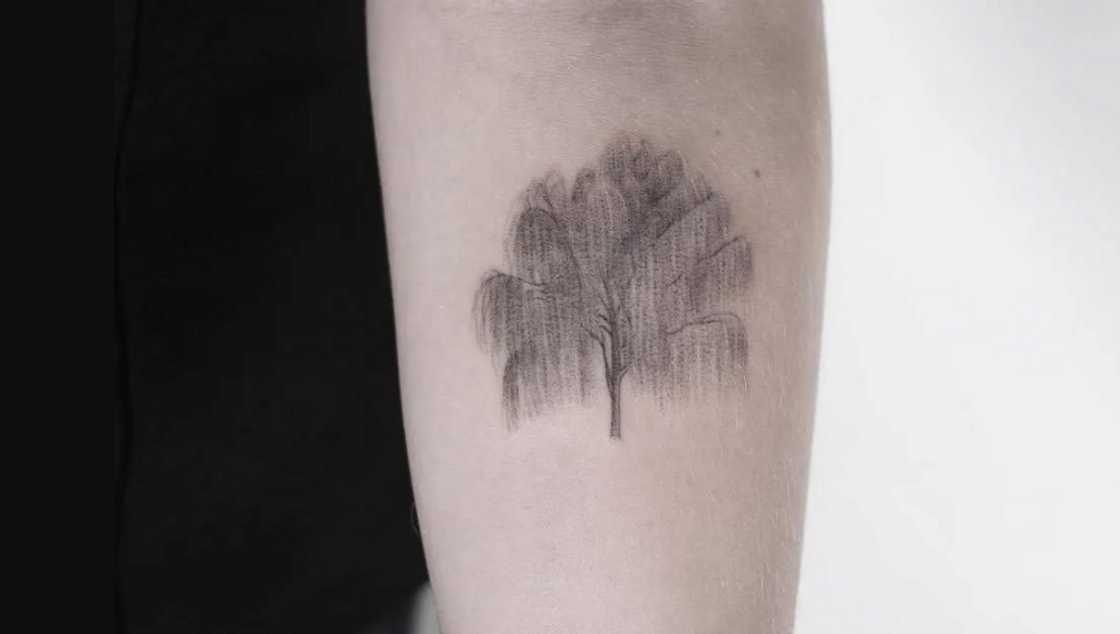 tree of life tattoo ideas tree of life tattoo ideas