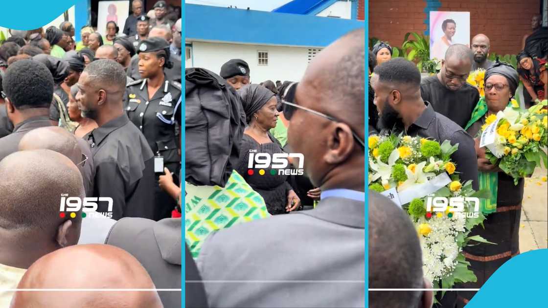 Prof Jane Naana Opoku Agyemang, Vice President, Prof Jane Naana Opoku Agyemang's sister, NDC, John Mahama, Ghana Prof Jane Naana Opoku Agyemang, Vice President, Prof Jane Naana Opoku Agyemang's sister, NDC, John Mahama, Ghana