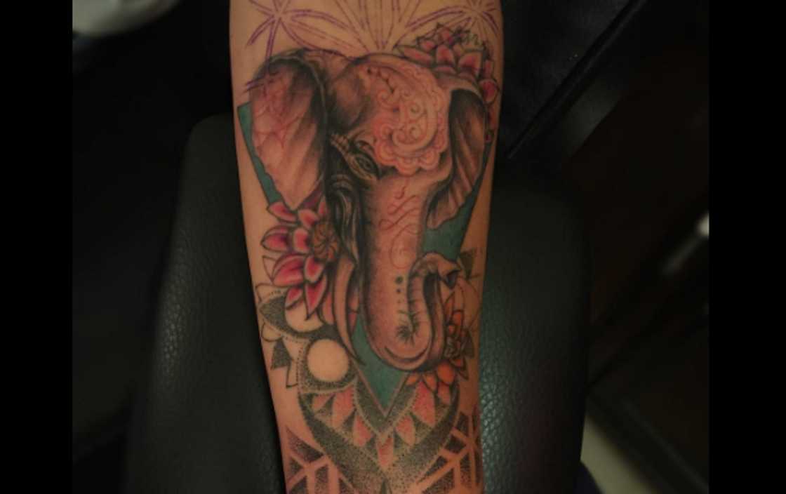 Elephant tattoo Elephant tattoo