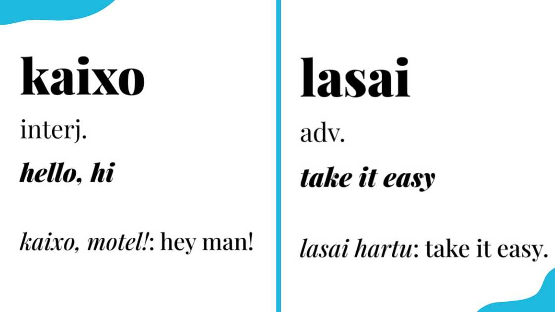 Basque words and sentences and their English translations