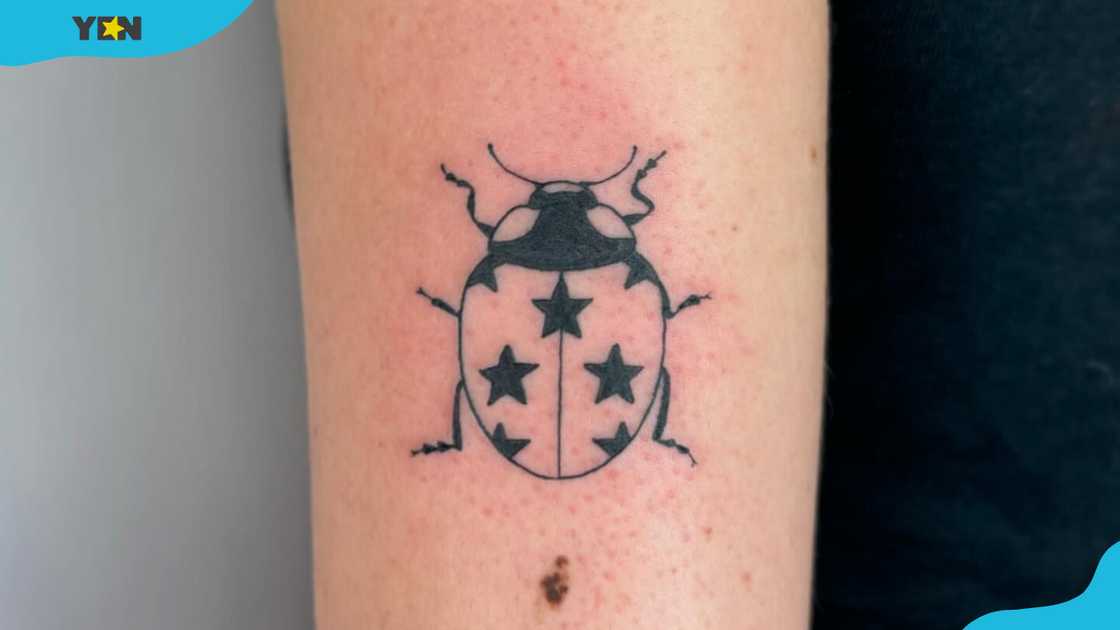 A black ladybug tattoo with star-shaped spots