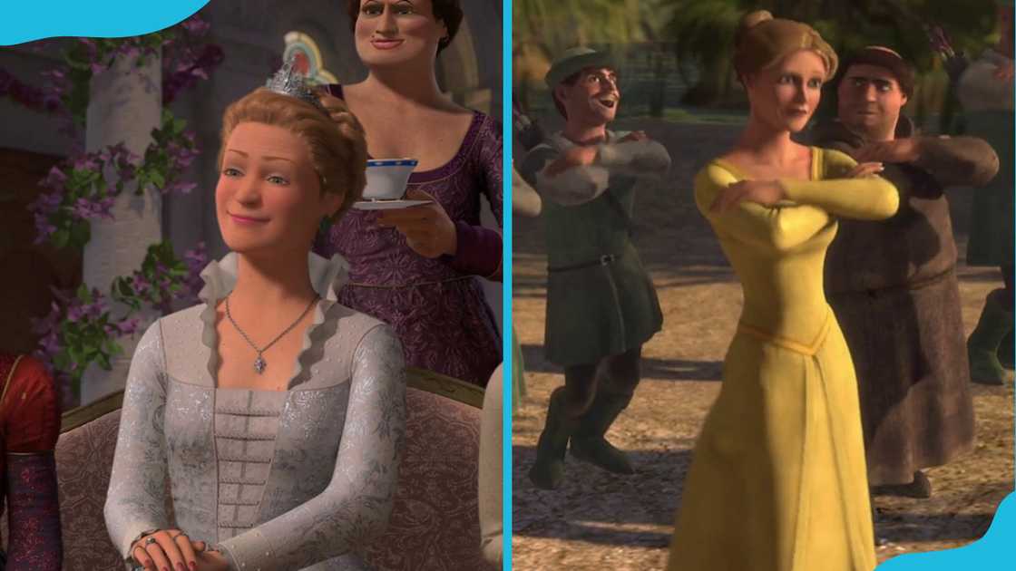 Evolution of Cinderella in the Shrek franchise: Shrek (2001) vs Shrek the Third (2007)