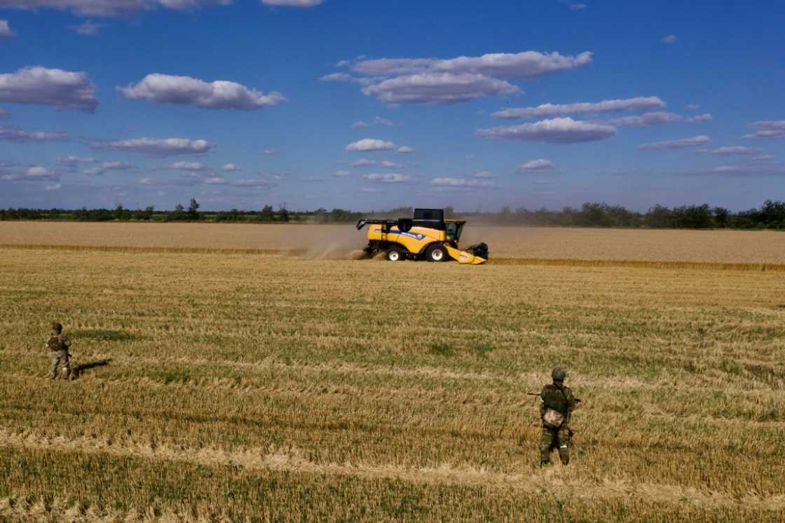 Food prices soared to a monthly record high in March after Russia invaded agricultural powerhouse Ukraine