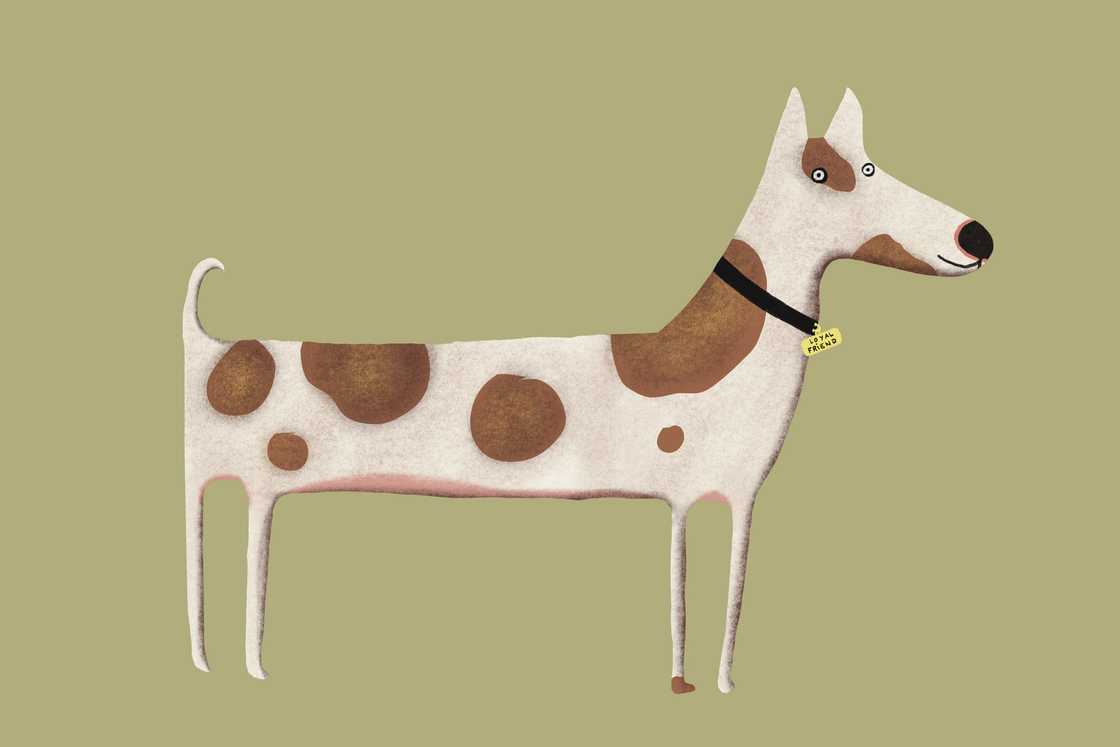 A drawing of a puppy A drawing of a puppy