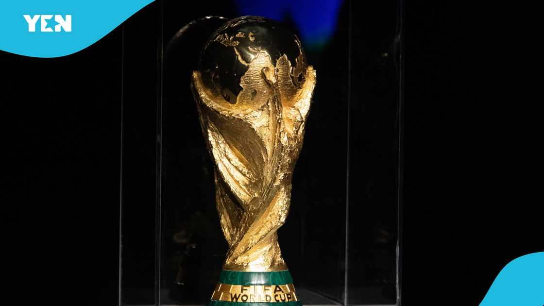 FIFA World Cup, Nigeria FIFA World Cup, Nigeria