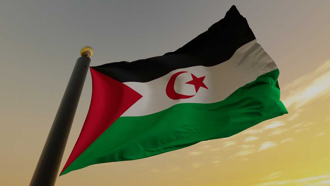 Flag of the Sahrawi Arab Democratic Republic (Western Sahara) Flag of the Sahrawi Arab Democratic Republic (Western Sahara)
