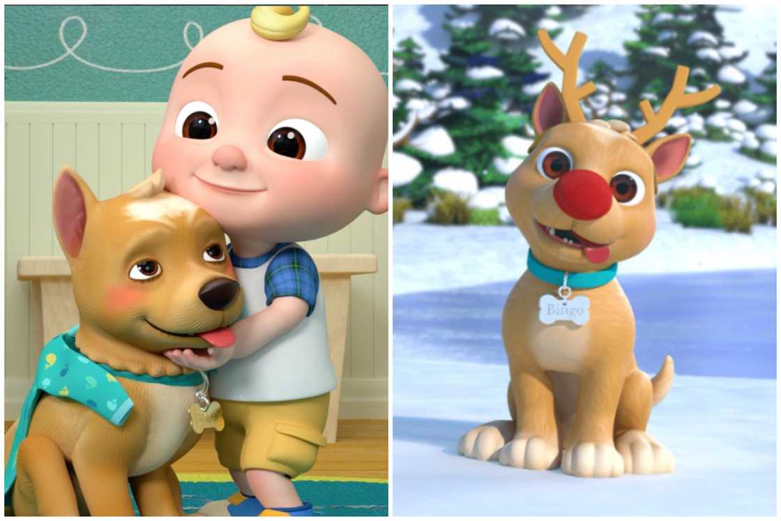 Cocomelon characters Cocomelon characters