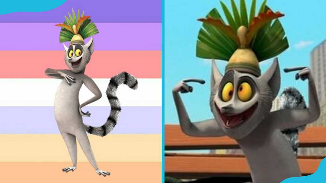 King Julien from Madagascar King Julien from Madagascar