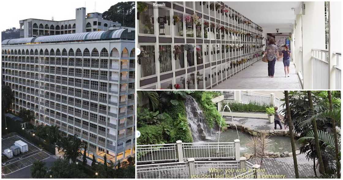 Photos of the skyscraper cemetery Photos of the skyscraper cemetery