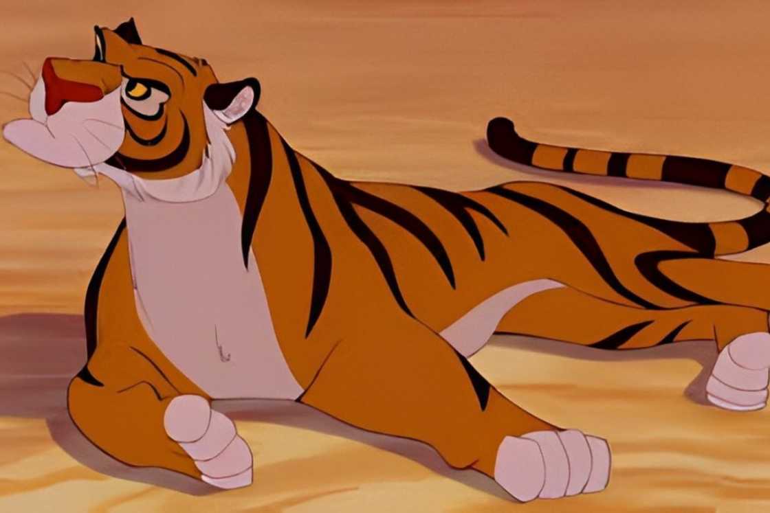 Rajah aladdin is lying on the floor Rajah aladdin is lying on the floor