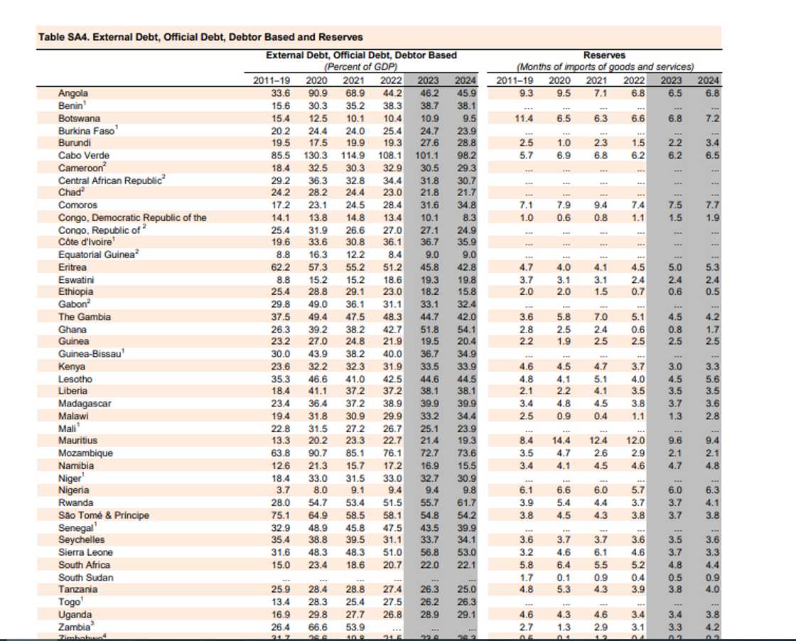 The IMF report said Ghana's foreign reserves have depleted.