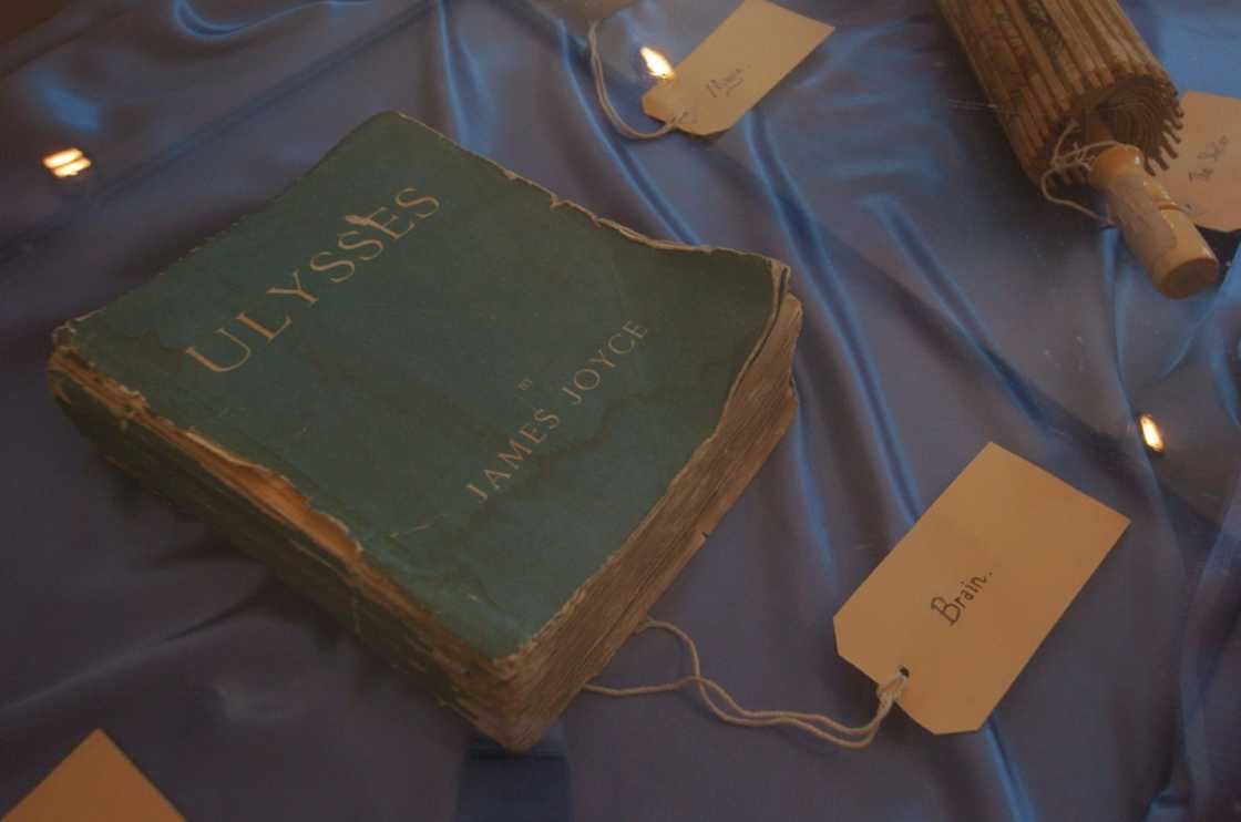 'Ulysses' sparked scandal when it was published in 1922 'Ulysses' sparked scandal when it was published in 1922