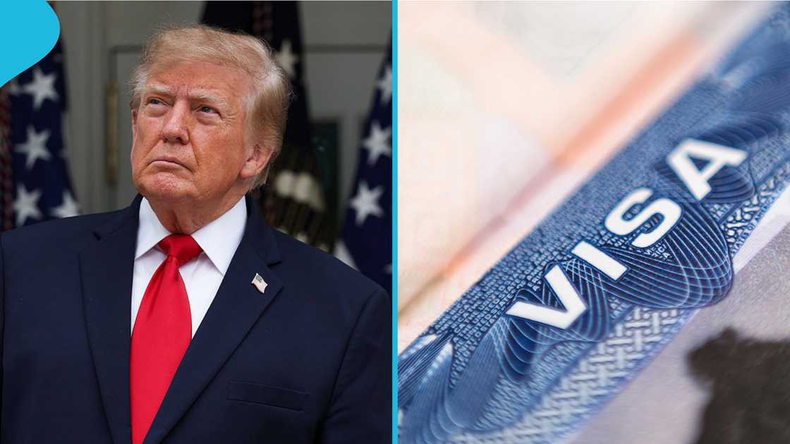 US Visa Waiver Programme, US visa-free travel, ESTA travel authorization, countries eligible for US visa waiver, US travel requirements, 90-day US visit, electronic passport requirement US Visa Waiver Programme, US visa-free travel, ESTA travel authorization, countries eligible for US visa waiver, US travel requirements, 90-day US visit, electronic passport requirement