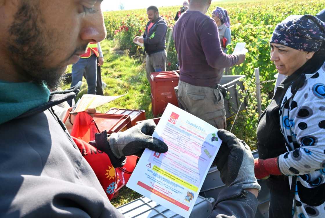 France's CGT labour union has dispatched representatives to vineyards across Champagne to inform seasonal workers of their rights France's CGT labour union has dispatched representatives to vineyards across Champagne to inform seasonal workers of their rights
