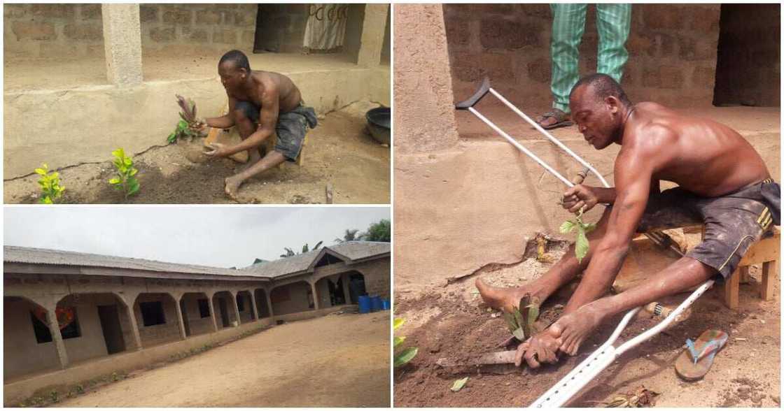 Physically challenged Nigerian man gets school job after selling himself well to its owner in style Physically challenged Nigerian man gets school job after selling himself well to its owner in style