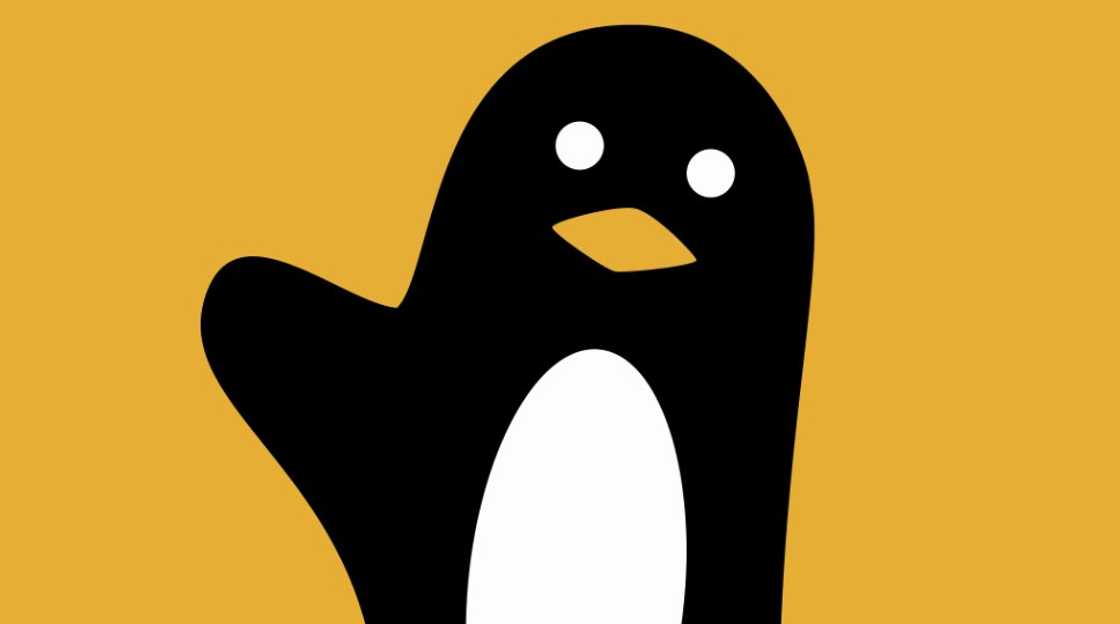 Wave money transfer: how it works, limits, charges for sending to Ghana Wave money transfer: how it works, limits, charges for sending to Ghana