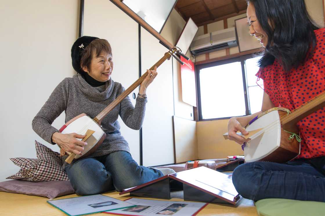 Japanese instruments