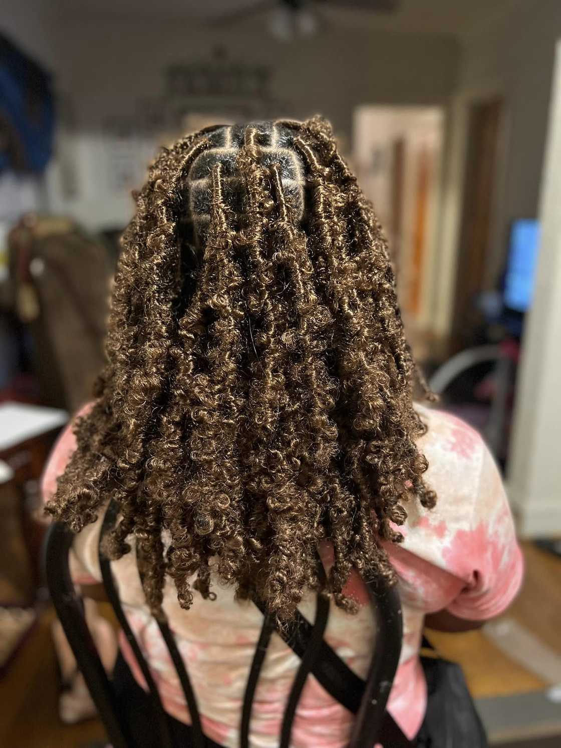 Butterfly loc hairstyles