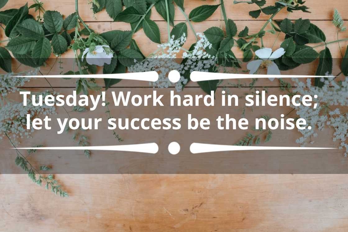 Tuesday quotes Tuesday quotes