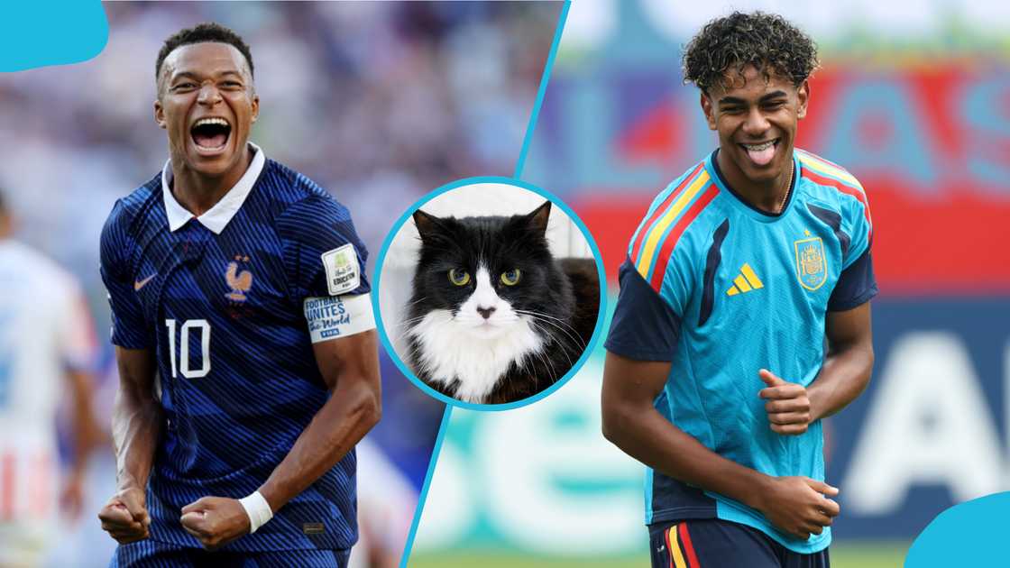 France vs Spain, Psychic cat, Nimbus Pronos, 2026 World Cup predictions, France vs Spain preview, Nimbus Pronos, World Cup semi-finals, France, Spain, 2026 FIFA World Cup, Lamine Yamal vs Kylian Mbappé. France vs Spain, Psychic cat, Nimbus Pronos, 2026 World Cup predictions, France vs Spain preview, Nimbus Pronos, World Cup semi-finals, France, Spain, 2026 FIFA World Cup, Lamine Yamal vs Kylian Mbappé.