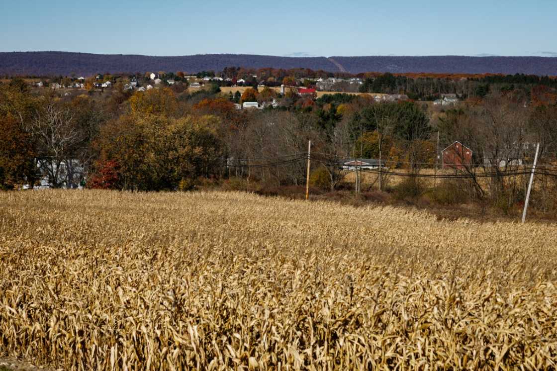 Industry groups warn that corn and soybeans will again be prime targets for retaliatory tariffs on US goods