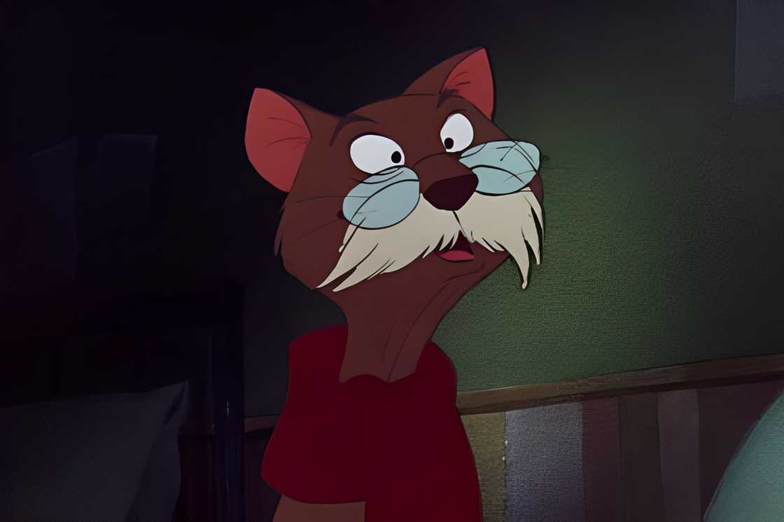 Rufus is standing in a dark room Rufus is standing in a dark room