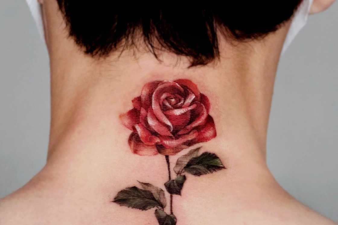 Red back realistic red rose tattoo Red back realistic red rose tattoo
