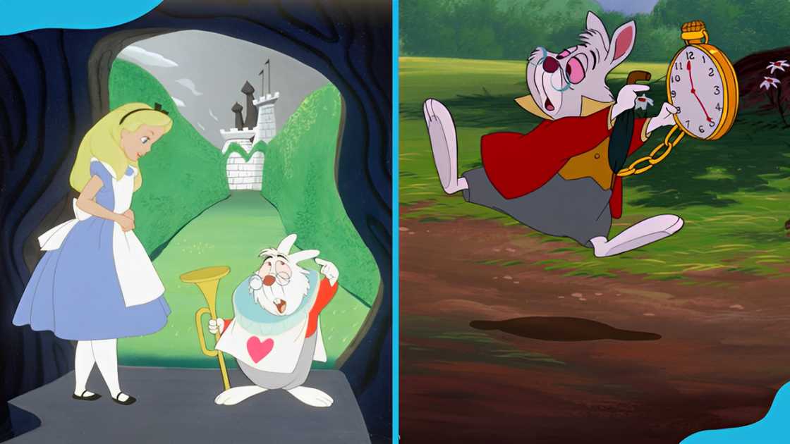 White Rabbit is seen in various scenes in Alice In Wonderland White Rabbit is seen in various scenes in Alice In Wonderland