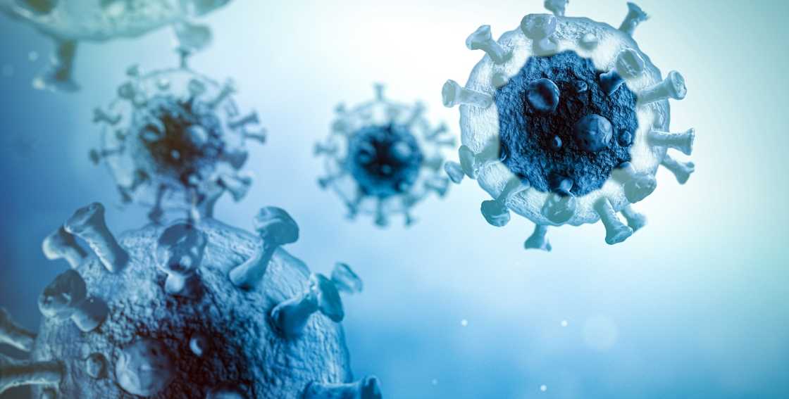 GHS says 7 cases of Community spread of new COVID Omicron variant recorded GHS says 7 cases of Community spread of new COVID Omicron variant recorded