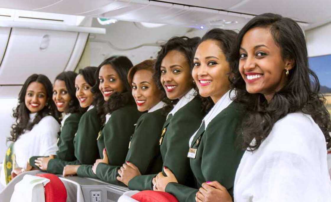 air hostess schools