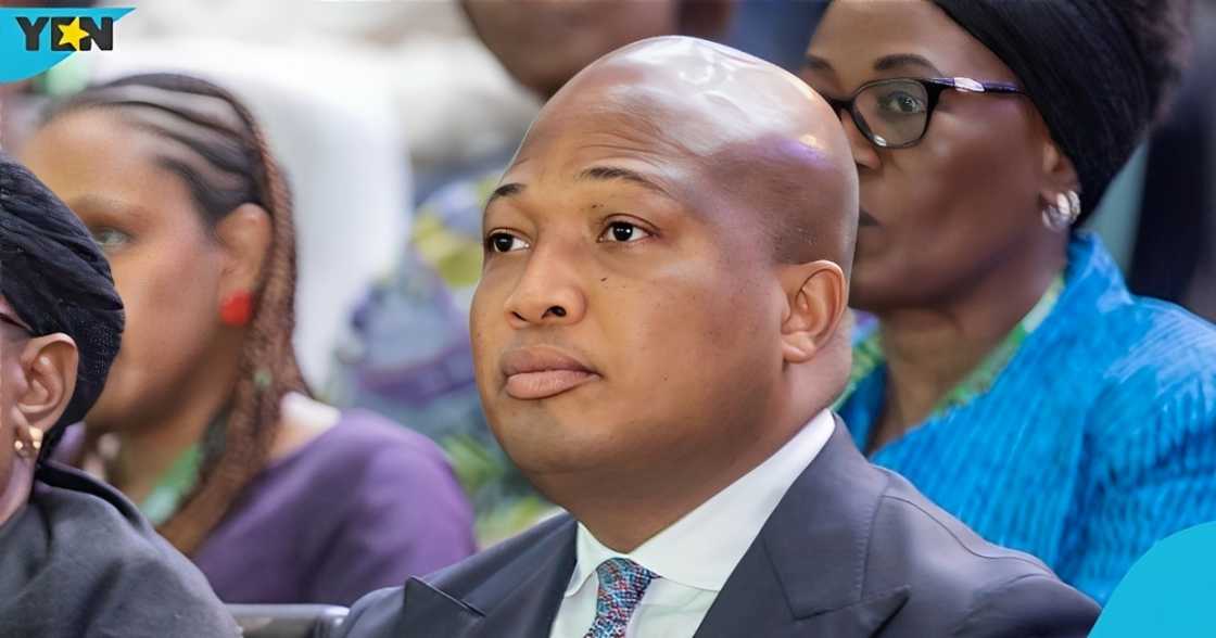 Samuel Okudzeto Ablakwa, Foreign Affairs Minister, West Africans, US deportees, Ecowas protocols. Samuel Okudzeto Ablakwa, Foreign Affairs Minister, West Africans, US deportees, Ecowas protocols.