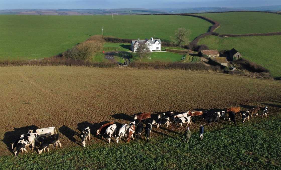 Dairy farmer Adam Stanbury said the tax should be adjusted to target only large landowners and not farms like his Dairy farmer Adam Stanbury said the tax should be adjusted to target only large landowners and not farms like his