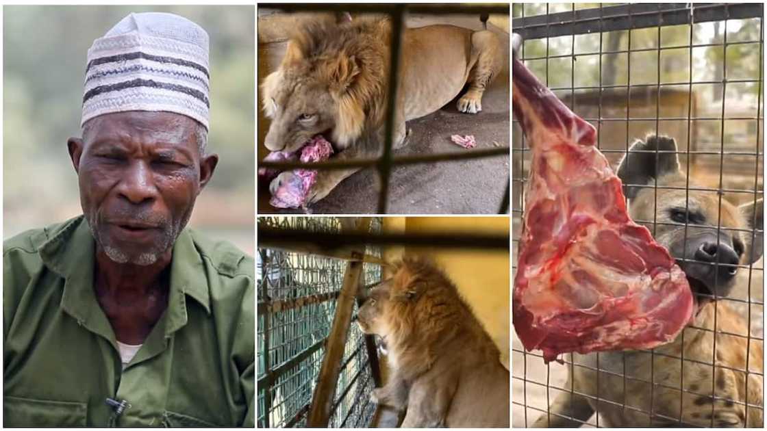 Many people were amazed by his dedication. Many people were amazed by his dedication.