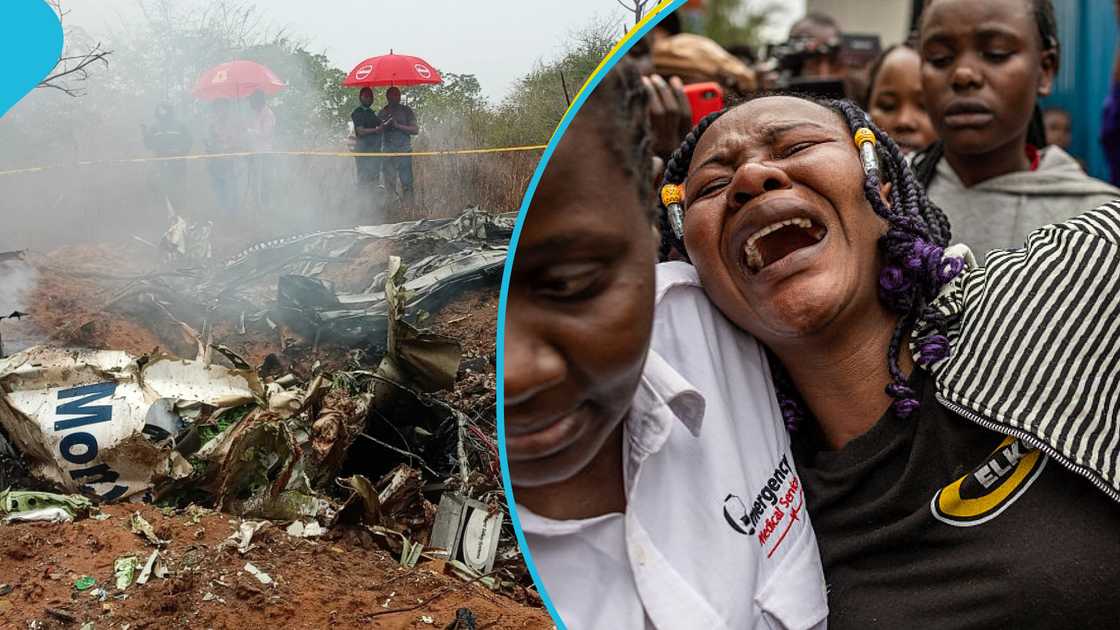 A plane crash near Kenya's coast has killed 10 Europeans and a local pilot. A plane crash near Kenya's coast has killed 10 Europeans and a local pilot.