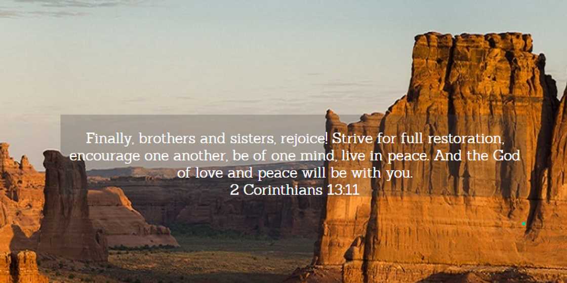 words of wisdom words of wisdom