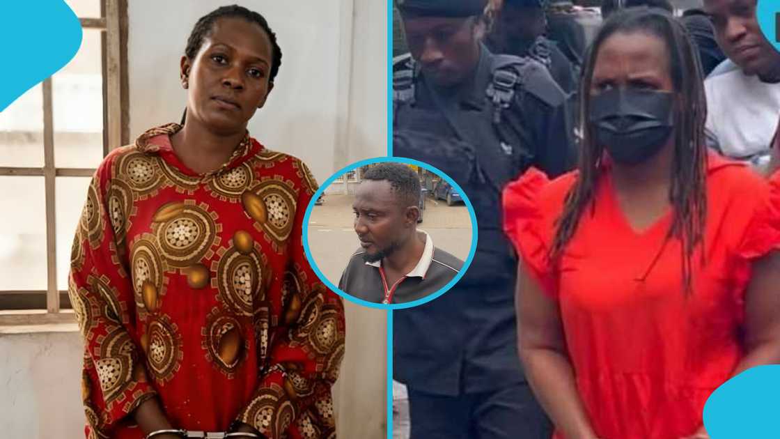 Camilla Alhassan, government intervention, custodial sentence, false news Ghana, emotional plea, President Mahama